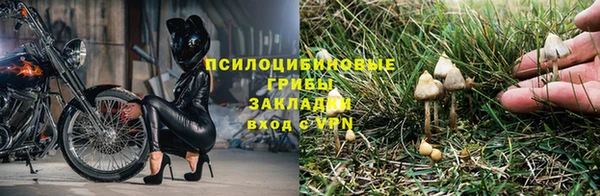 кокс Беломорск
